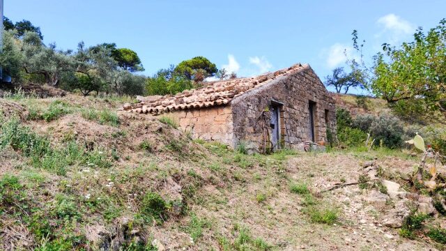 foto 01